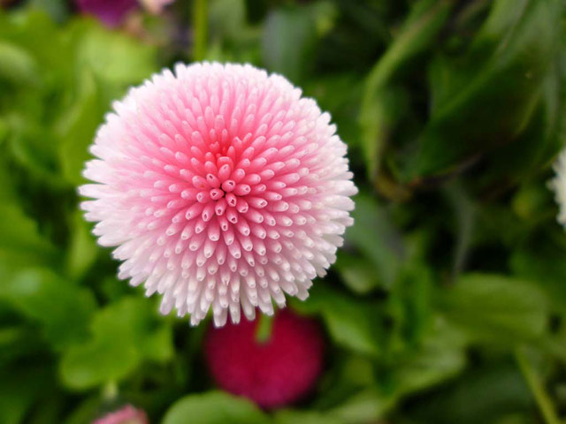 Value of Nature: Flickr group