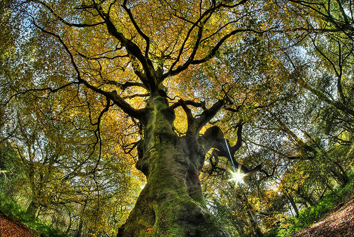 Value of Nature: Flickr group