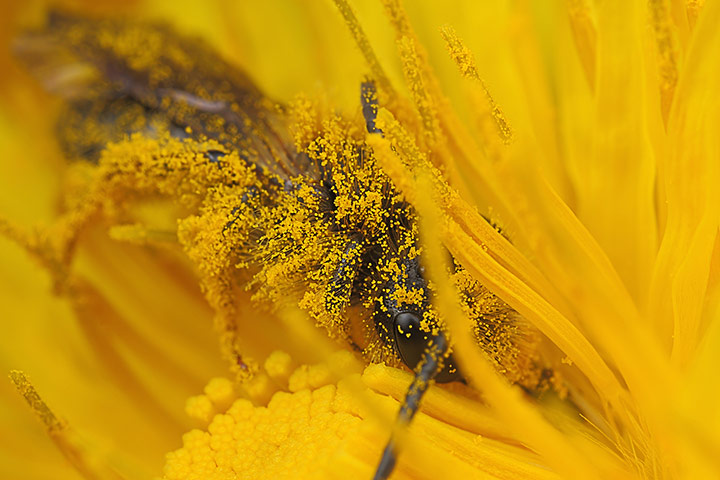 Value of Nature: Flickr group