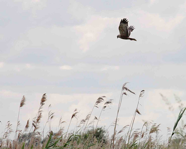 Value of Nature: Flickr group