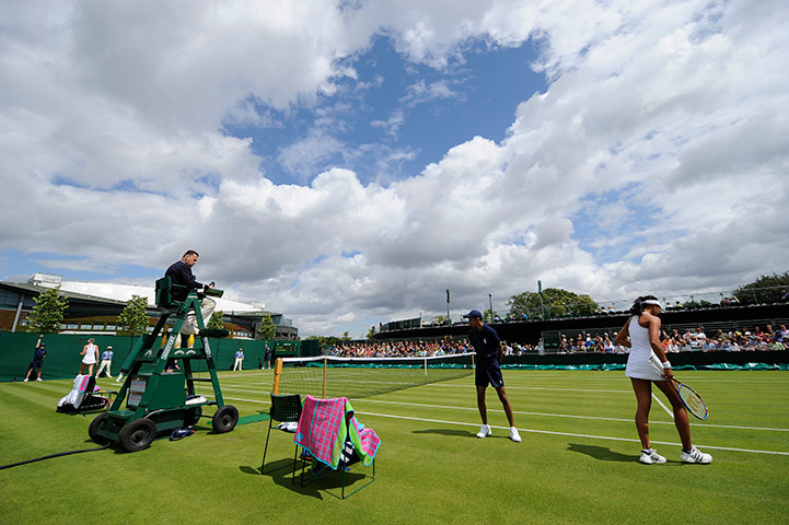 tennis: Wimbledon tennis