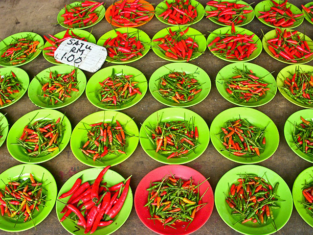 In pictures: hot: chillies