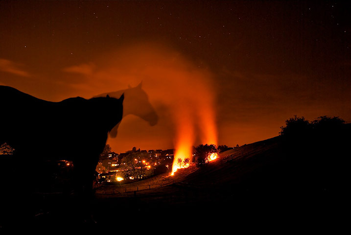 In pictures: hot: Horse looking at fire