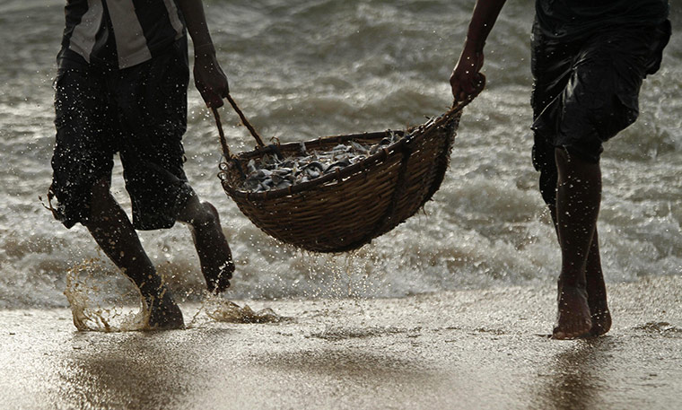 24 hours in pictures: Negambo, Sri Lanka: Fishermen carry their catch at the end of the day 