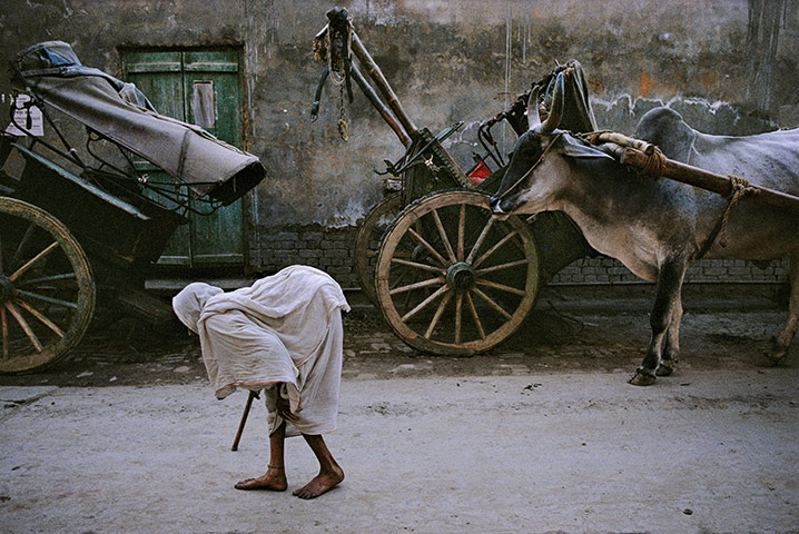 Steve McCurry : Steve McCurry