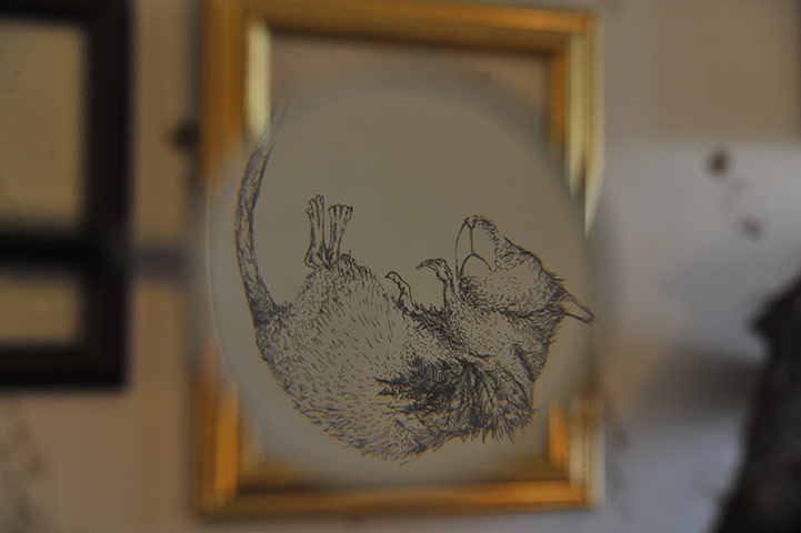 art schools round-up: Katriona Parkinson