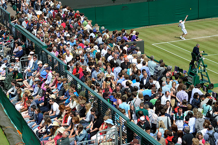 tennis: Wimbledon tennis