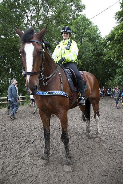 Glastonbury punters: Sergeant Kerry Williams