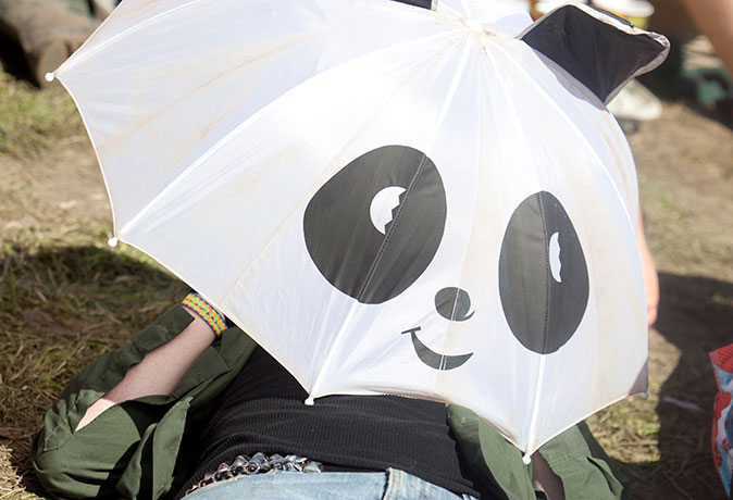 Glastonbury day 5: Glastonbury 2011: Panda Bear