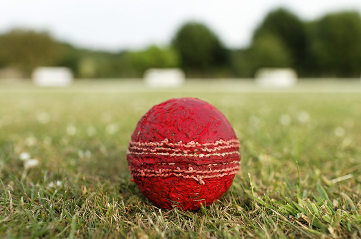 Veteran Cricketers: A cricket ball in the field