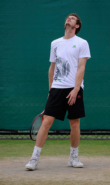 tennis: Wimbledon tennis