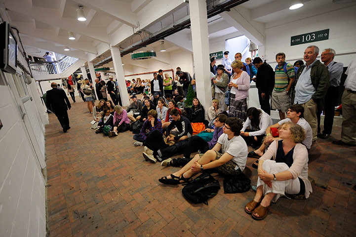 sport: Wimbledon tennis