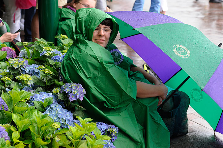 sport2: Wimbledon tennis