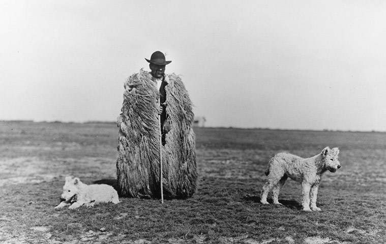 Hungarian Photography: Hungarian Photography