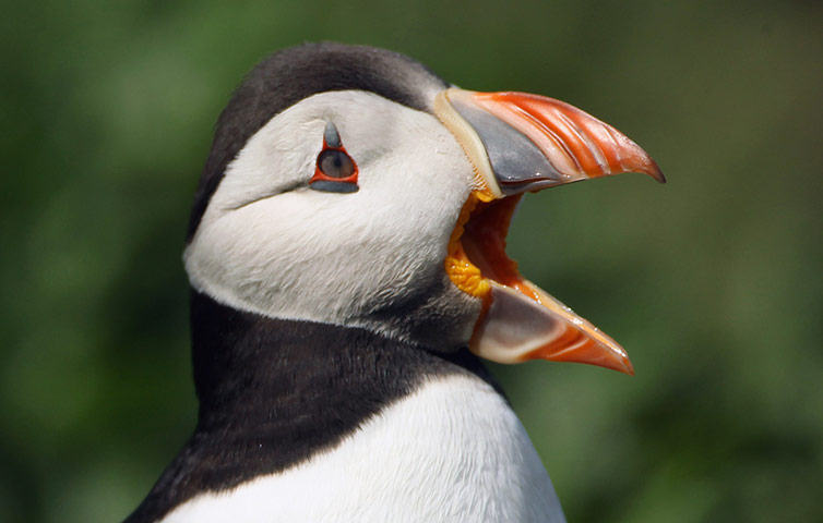 Seahouses: Seahouses, gateway to the Farne Islands