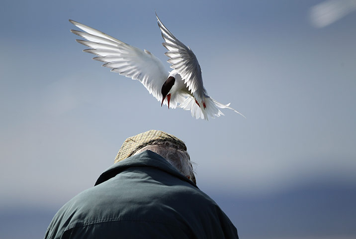 Seahouses: Seahouses, gateway to the Farne Islands