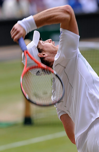 Tennis2: Wimbledon tennis