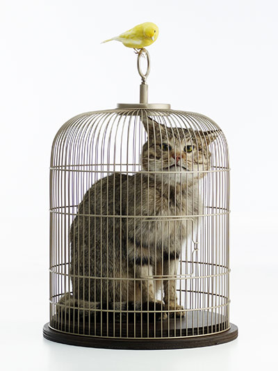 Exhibitionist 0406: Eva and Franco Mattes