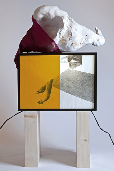 Exhibitionist 0406: Samantha Donnelly