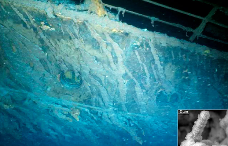 New species: Bacterium on the Titanic