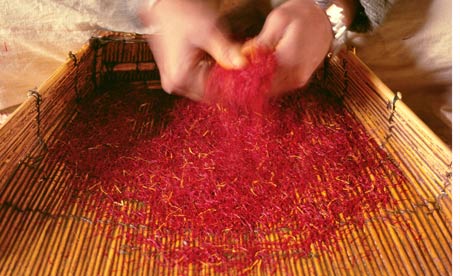 Rubbing saffron to remove the impurities