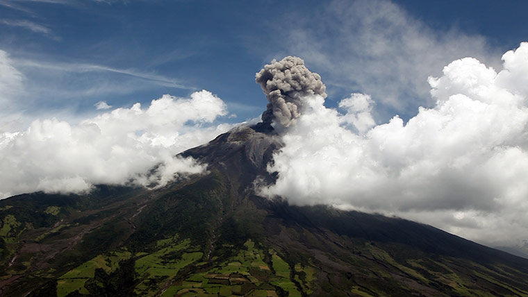 Exhibitionist 0207: Semiconductor