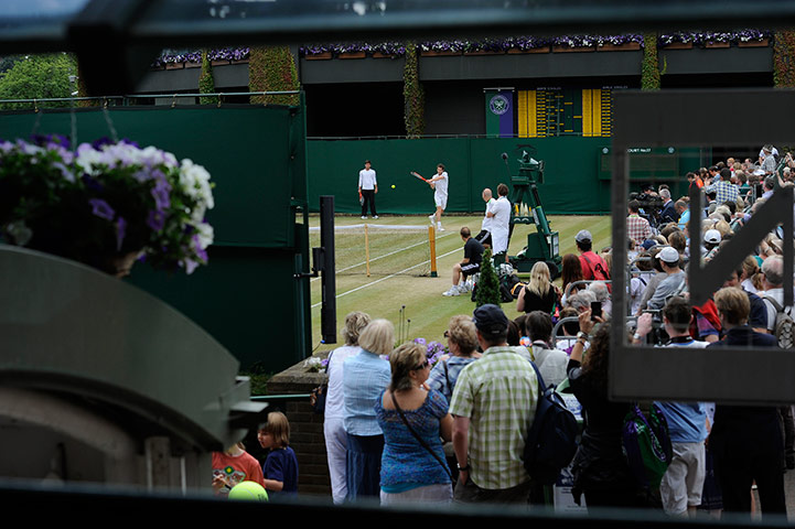 Wimbledon: Wimbledon tennis