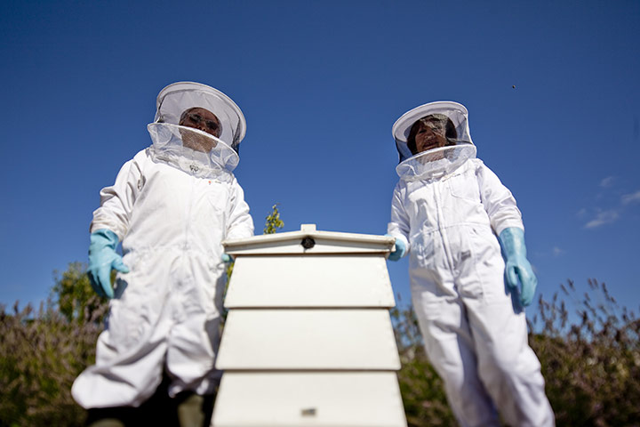 Blooming Britain: Denise and Dudley McGowan, Oakfield, Fareham