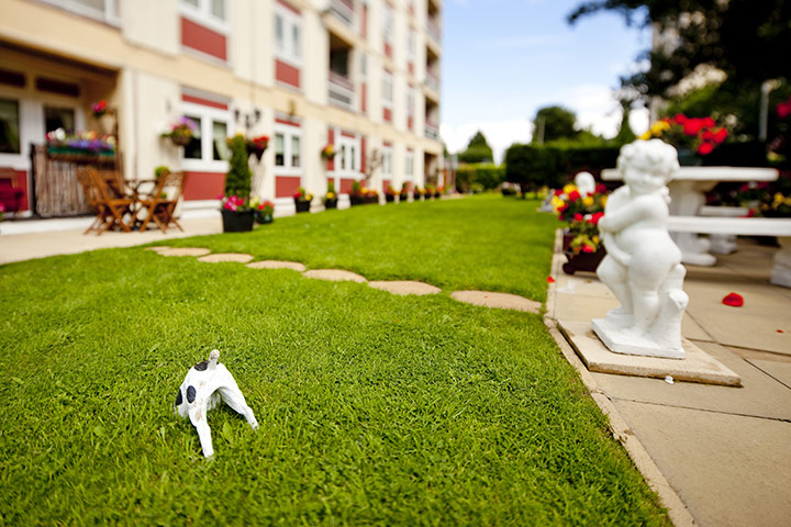 Blooming Britain: Another from Hilda Heydon in Newton Heath