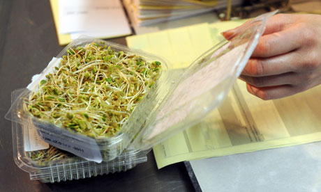 German bean sprouts in E coli test 6/6/11