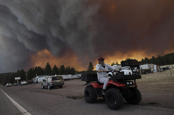 Arizona Wildfires: Smoke plumes from the Wallow fire fill the sky in Luna