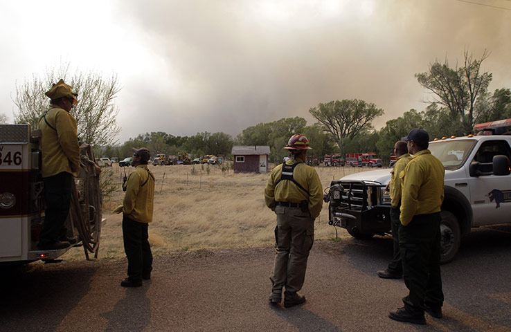 Arizona Wildfires: A group of firefighters look at smoke from the Wallow fire