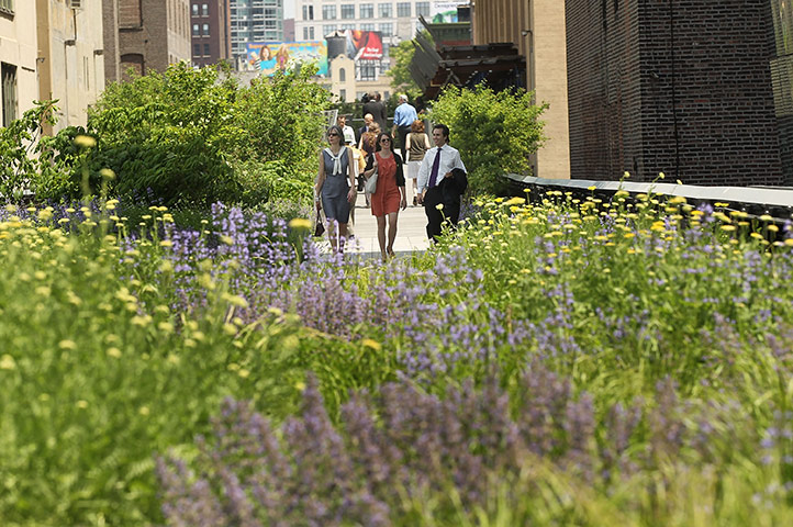High Line: Second section of New York City's elevated High Line Park opens