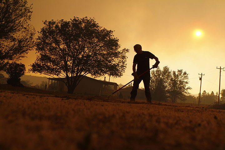 Arizona Wildfires: Wayne Lutz rakes dead grass