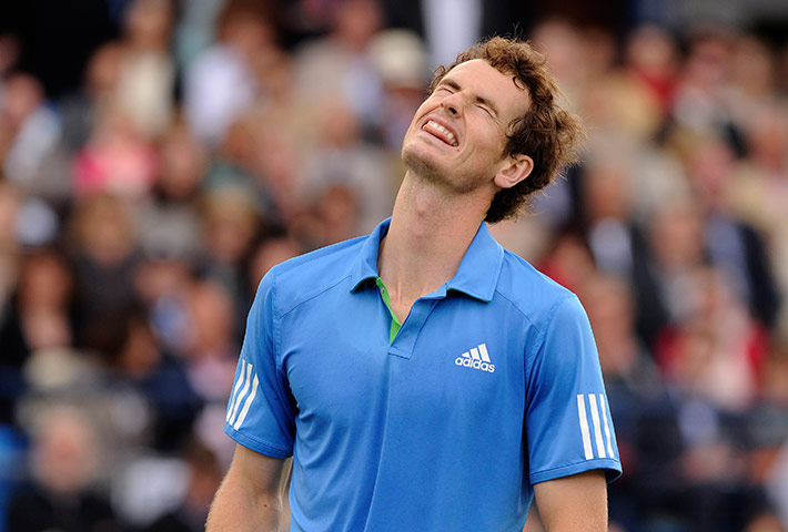 Queens tennis: Andy Murray reacts after missing a shot 