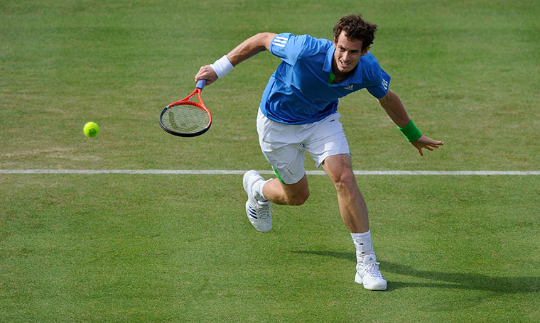 Queens tennis: Andy Murray in action against Xavier Malisse