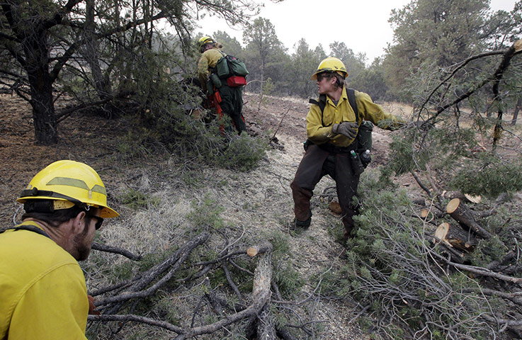 Arizona Wildfires: Fire crew members prepare for a back burn operation