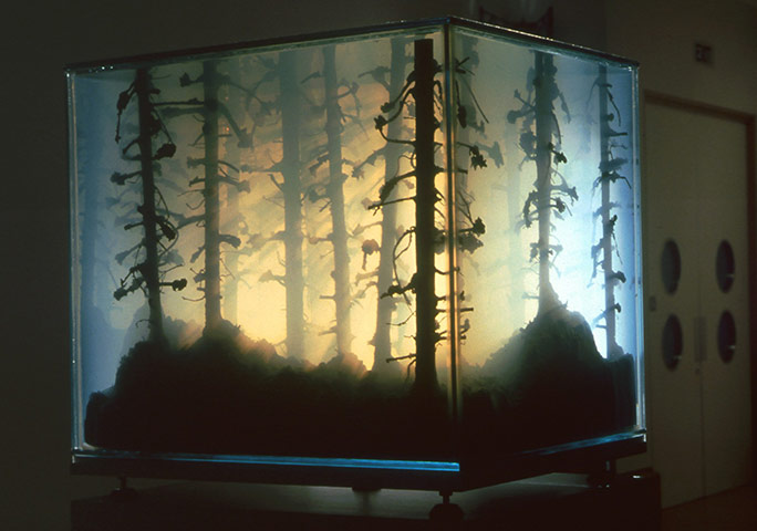 Exhibitionist1106: Charter of the Forest