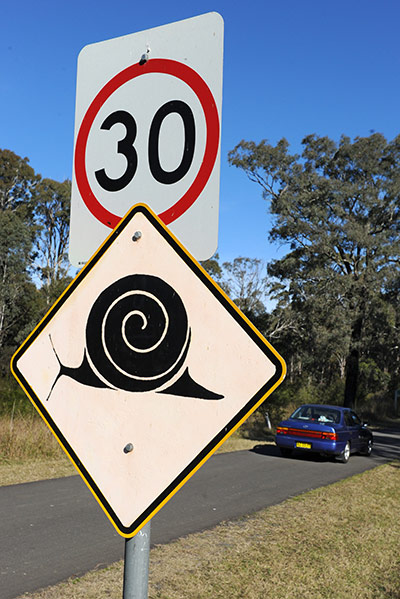 Week in wildlife: endangered Cumberland land snails