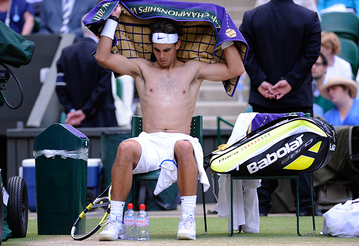 tennis6: Wimbledon tennis