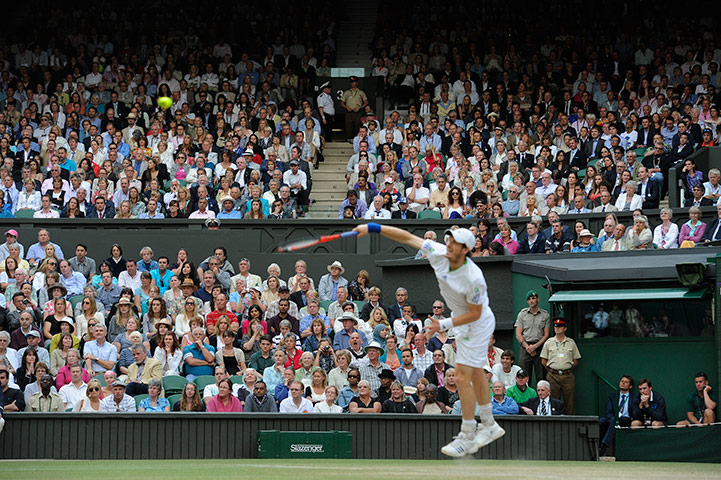 tennis7: Wimbledon tennis