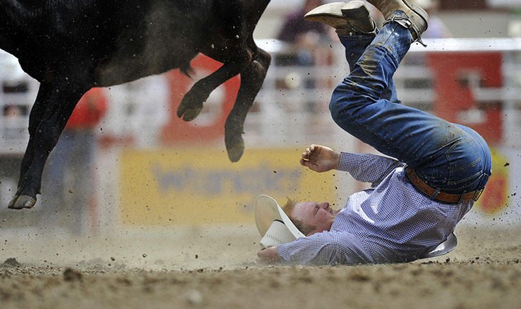 24 hours: Calgary, Alberta, USA: Contestant falls in the Calgary Stampede rodeo 