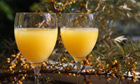 How to make sea buckthorn fizz
