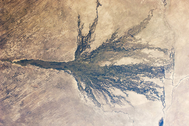 Satellite Eye on Earth:  Okavango delta