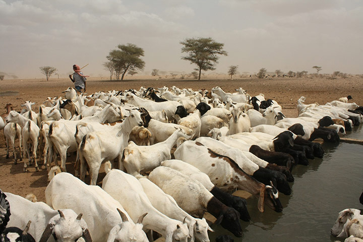 From Wajir : experiences of people affected by the drought in Kenya