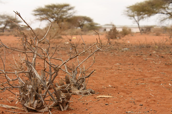 From Wajir : experiences of people affected by the drought in Kenya