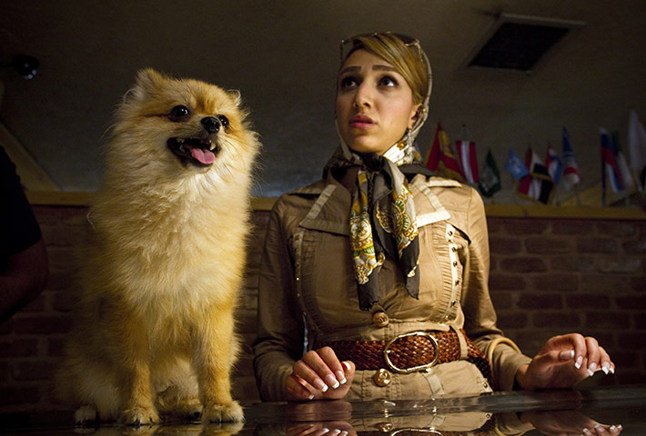 FTA: Behrouz Mehri: Tehran resident Farnaz talks to a vet about her Pomeranian dog Maggie