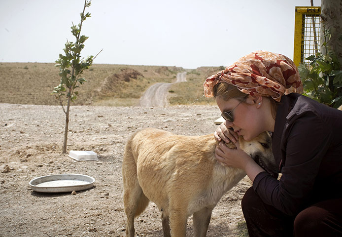 FTA: Behrouz Mehri: An Iranian woman caresses a mother stray dog who lost her puppies