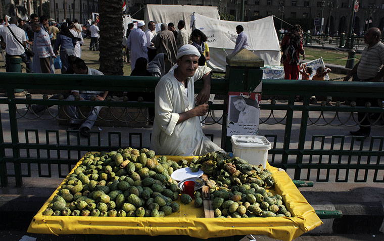 Week in Business: An Egyptian street vendor offers fresh cactus for sale in Cairo