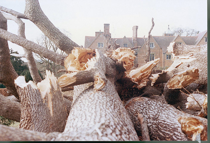 Boat: Timber from 1987 storms